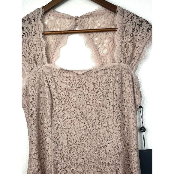 Adrianna Papell Lace Dress in Blush Pink - Picture 10 of 10